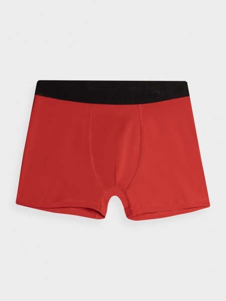 Труси 4F BOXER SHORTS M027 (2PACK) 4FAW23UBXSM027-91S р.2XL різнокольоровий
