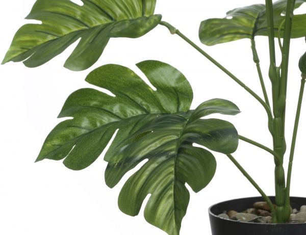 Растение искусственное Аспидистра зеленая PFC(NL)-1049