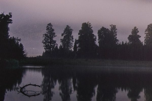 Репродукция Новая Зеландия 113x85 см Styler 