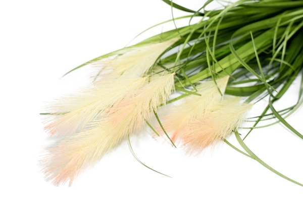 Камыш искусственный зеленый в горшке 74 см Девилон