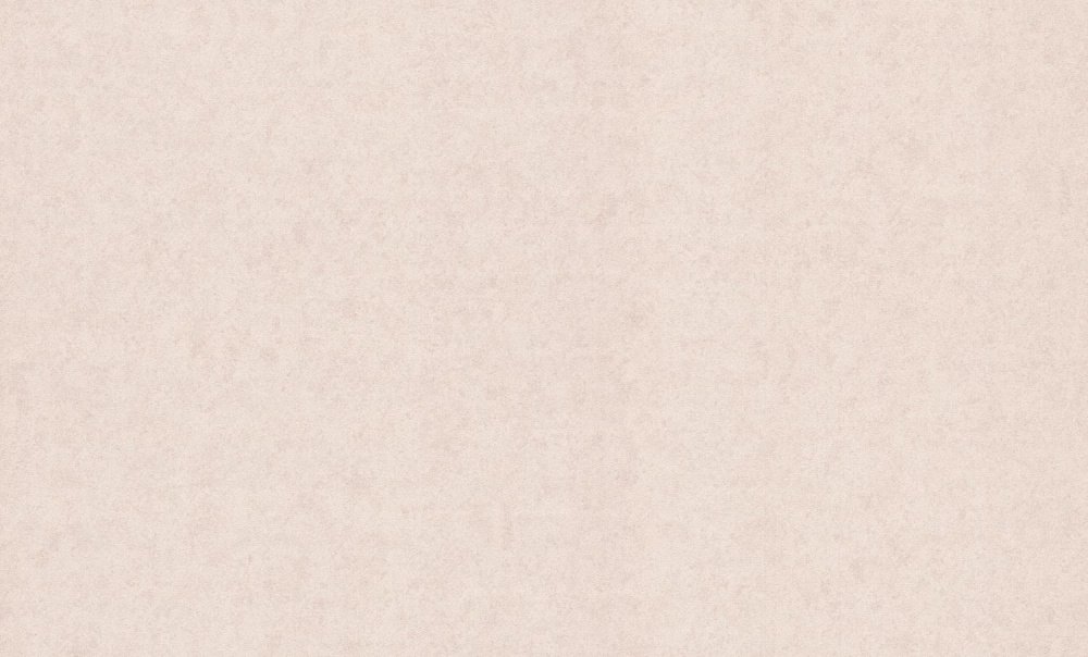 Шпалери вінілові на флізеліновій основі Bravo 81800BR04 1,06x10,05 м