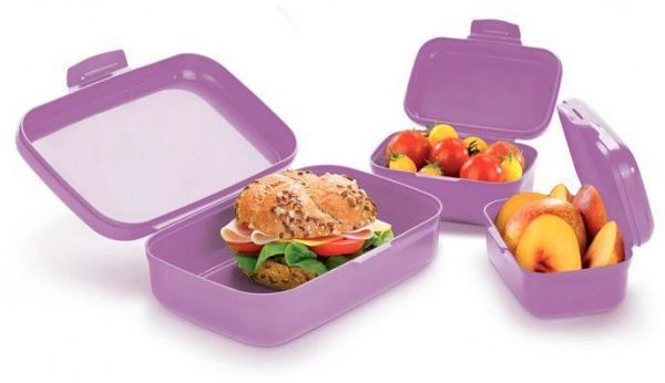 Контейнер DINO 3 шт. 668330,23 фіолетовий Tescoma