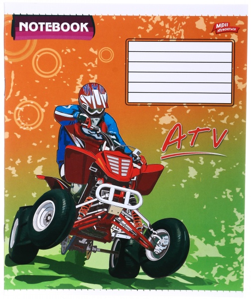 Зошит шкільний 12 аркушів у косу лінію в асортименті Мрії збуваються