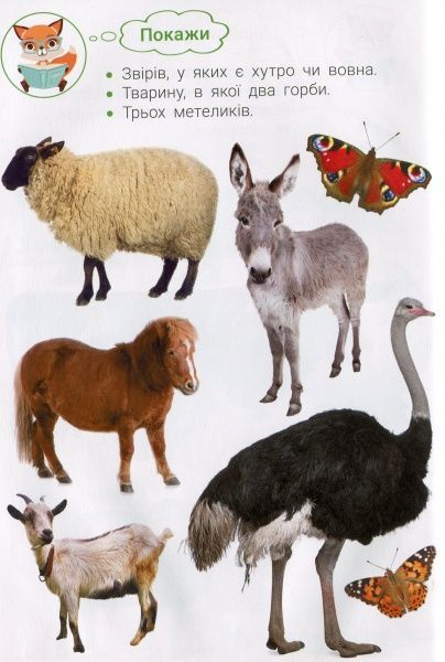 Книга «Фотокнига. Царство тварин. Серія шукайчик. Тв.обкладинка»