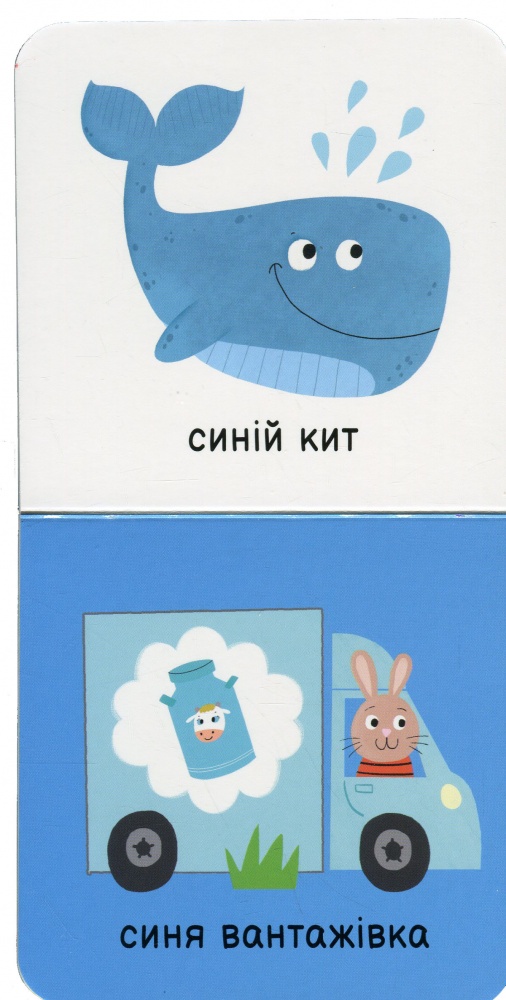 Книга «Мої кольори» 978-617-09-8958-1