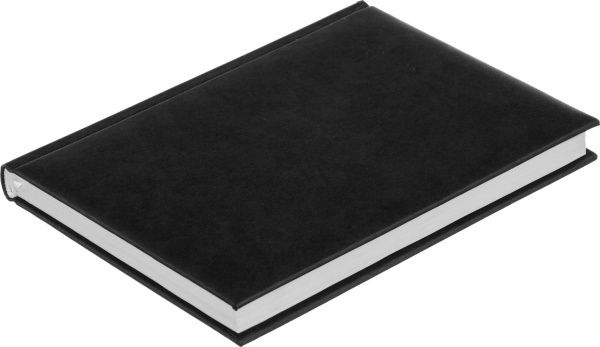 Дневник Expert A5 288 л черный Buromax