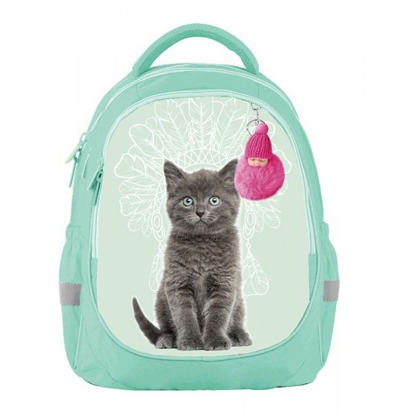 Рюкзак школьный Bagland Butterfly Кот тиффани суб.1018 (56591)
