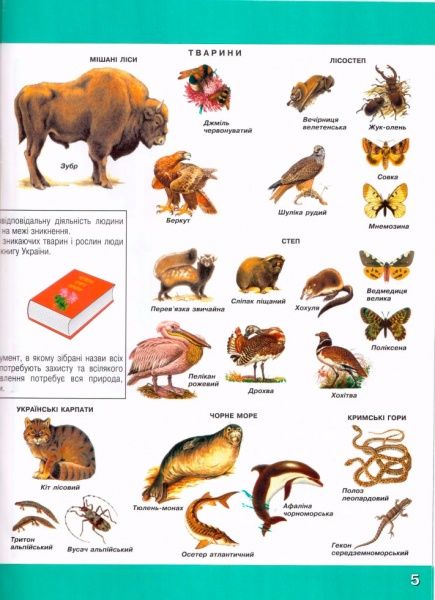 Атлас Природознавство. Із завданнями. 1-2 класи Інститут передових технологій
