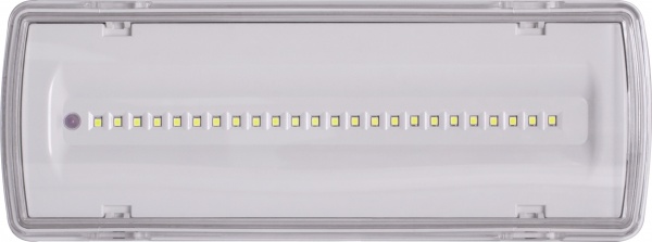 Светильник аварийный E.NEXT e.emerg.507L-24.led.Li.3h.IP65, не постоянный, 3 часа 24 LED белый l0660042 
