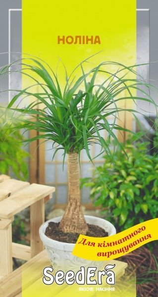 Семена Seedera нолина 5 шт. (4823073725580)