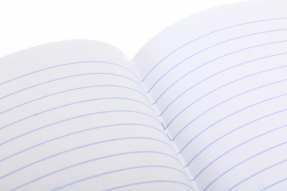 Тетрадь школьная 24 листа линия 2024_1 Nota Bene