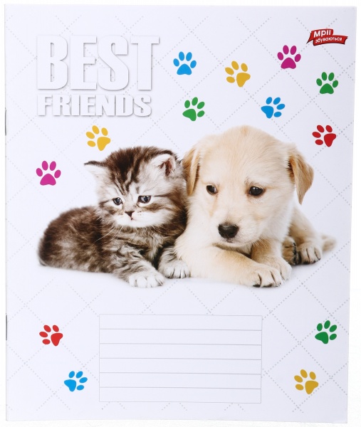 Тетрадь школьная 18 листов в линейку в ассортименте Мечты сбываются