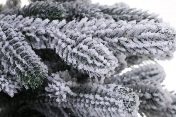 Штучна ялинкаВіденська 1,1 м засніжена в горщику зелений із білим 