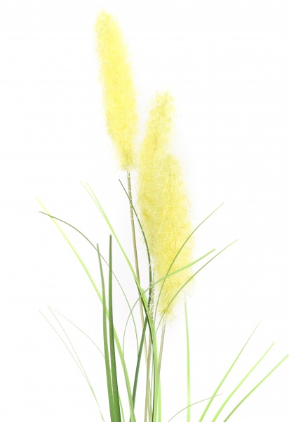 Веточка декоративная Камыш 40 см в ассортименте (Epi-TLY200309)