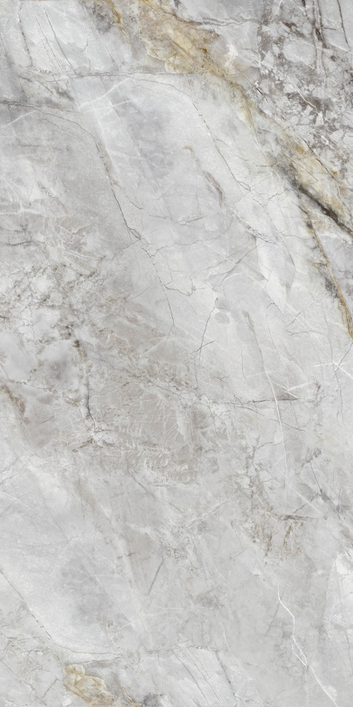 Плитка Allore Group Alpina Silver F P R Full Lappato 60x120 см