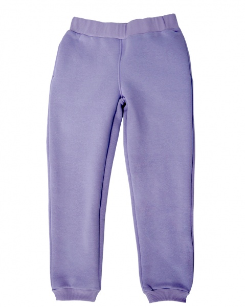 Штаны детские WP Merchandise р.134 сиреневый FWPPANTSCH22LL134 