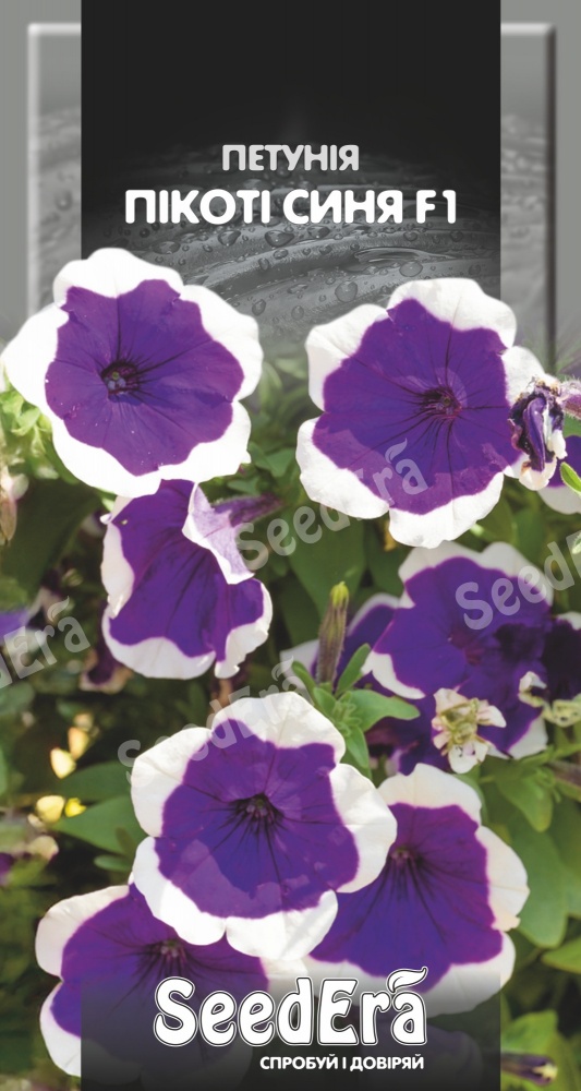Насіння SeedEra петунія Пікоті Синя F1 10 шт. (4823114404481)
