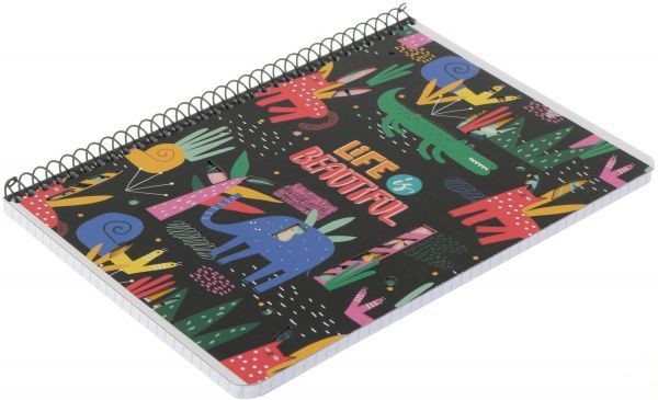 Тетрадь школьная А5 80 листов в клеточку A5-SC-080-6081K Student Школярик