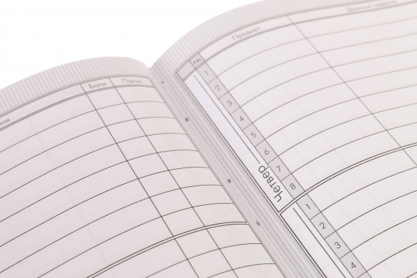 Дневник школьный Anime 4 Nota Bene