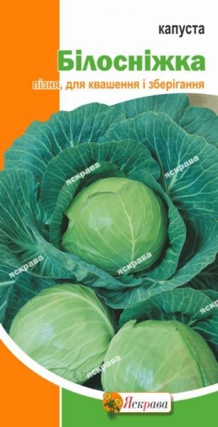 Семена Яскрава капуста белокочанная Белоснежка 0,5г (4823069800451)