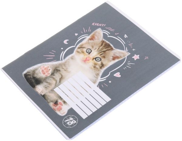 Тетрадь школьная Cat 18 листов клетка 1 Мечты сбываются