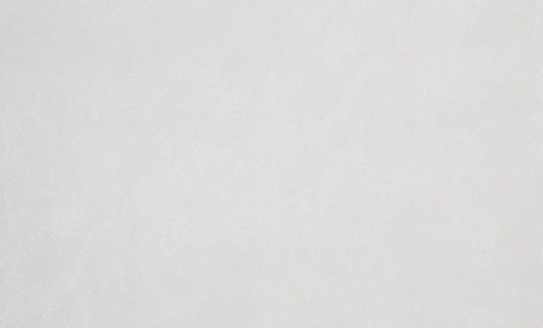 Обои виниловые на флизелиновой основе MEGAPOLIS 9187-10 1,06x10,05 м