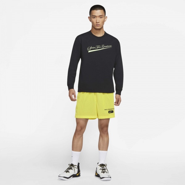 Футболка Nike LBJ M NK LION LS MAX90 TEE DM2464-010 р.M чорний