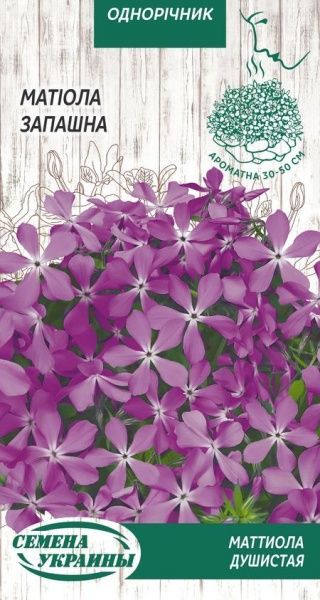 Семена Семена Украины маттиола Душистая 1 г