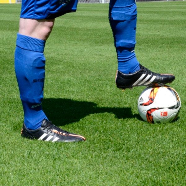 Насіння Euro Grass газонна трава Sport коробка 2,5 кг