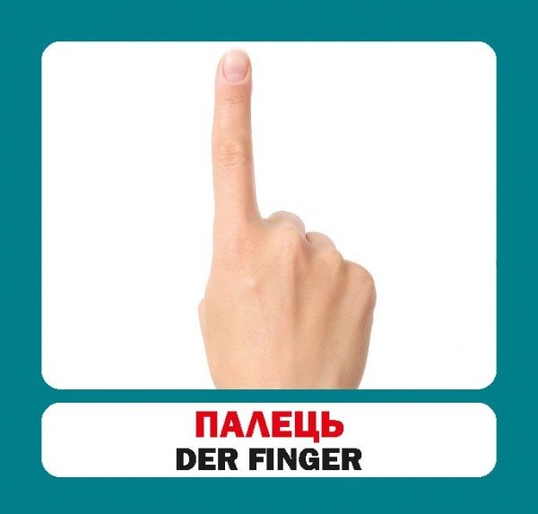 Книга «Навчальний посібник. Частини тіла. нім-укр»