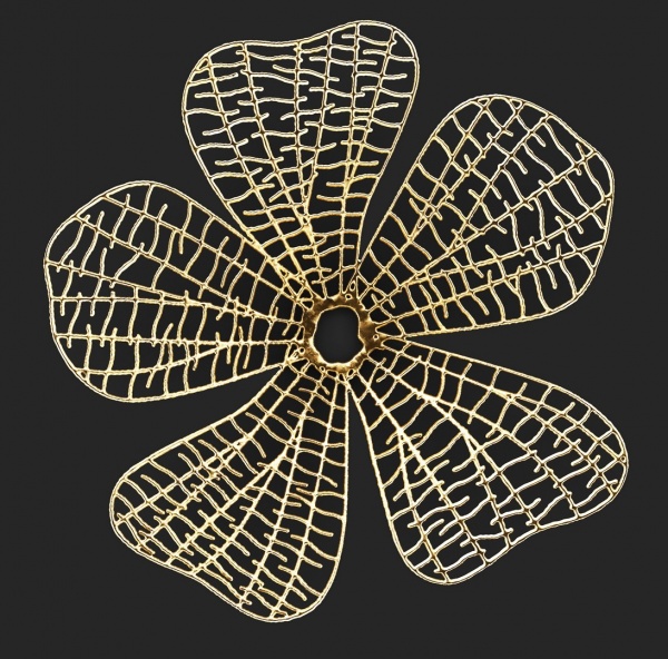 Репродукция Цветок на черном абстракция 50x50 см Арт Фемелі 