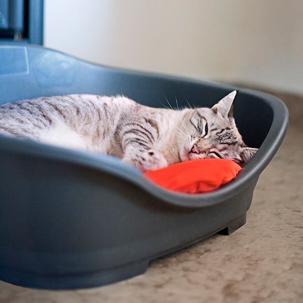 Лежак Stefanplast Sleeper 4 88x62x36см стальной-синий