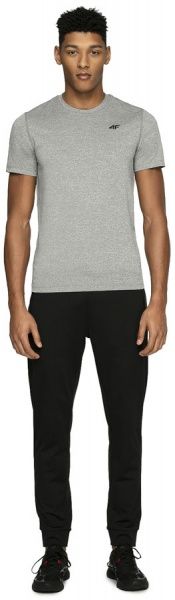 Футболка 4F NOSH4-TSMF003-27M L светло-серый
