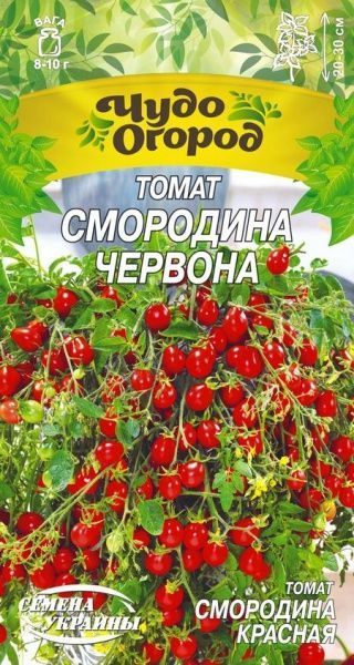 Насіння Семена Украины томат низькорослий Смородина Червона 0,1г