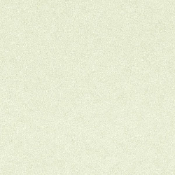 Rasch Piccolo 271287 0.53x10.05 м