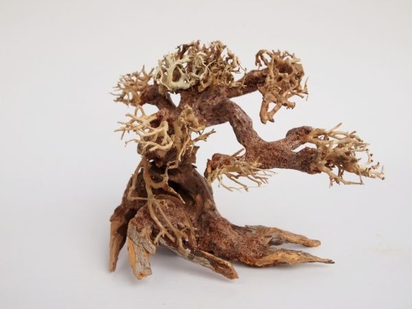 Декор Лотос К Коряга Акуа-Бонсаи S 15х20 см