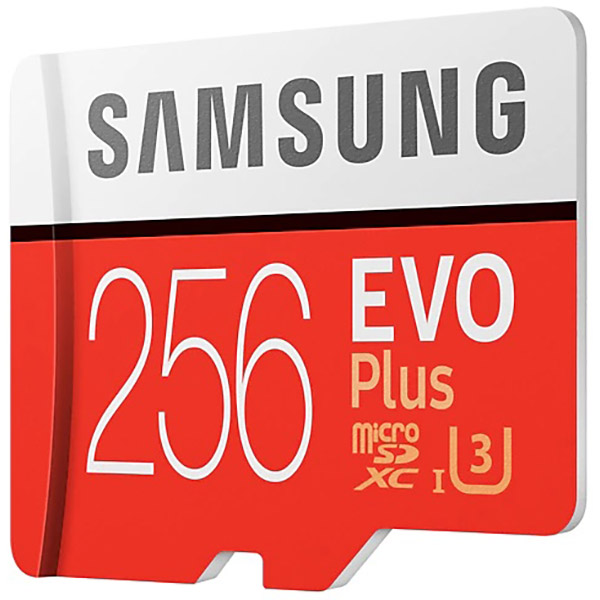 Карта памяти Samsung microSDHC 256GB Evo Plus UHS-I R100 W90MB/s