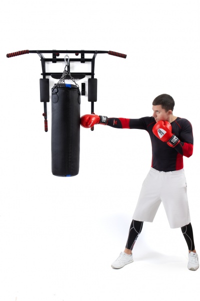 Турнік-бруси настінний PLENERGY TRPL03-BK Home 5 в 1 чорний 110 см