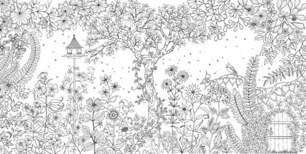 Книга Джоанна Басфорд «Чарівний сад. Розмальовка» 978-617-679-080-8