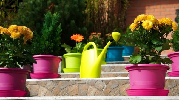 Лійка для квітів Plastkon Spring 4.5 л салатова