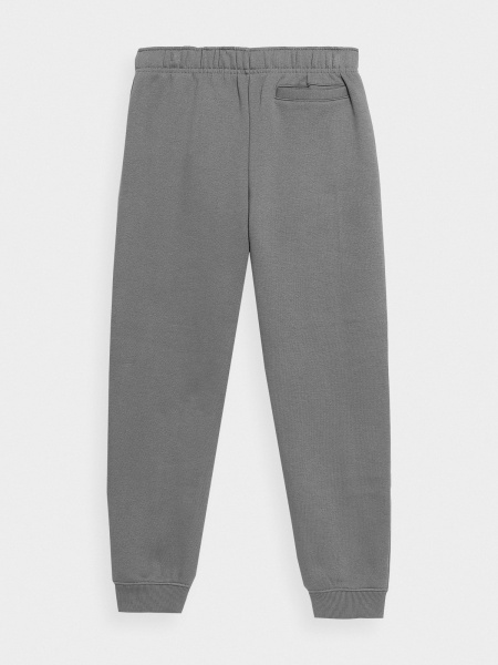 Штани 4F TROUSERS CAS M556 4FJSS23TTROM556-25S р. 146 сірий