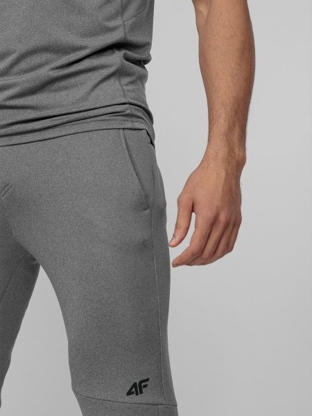 Брюки 4F D4L21-SPMTR200-24M р. 2XL серый