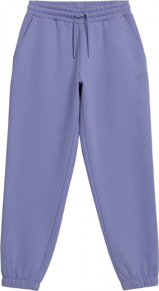 Штани 4F 4FAW21TTROF019-52S р. XL бузковий