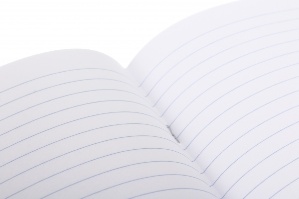 Тетрадь школьная Kitten 18 листов клетка Nota Bene