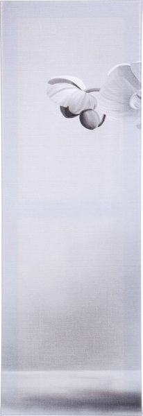 Картина модульная 5 частей Орхидеи 118x80 см Е0100 