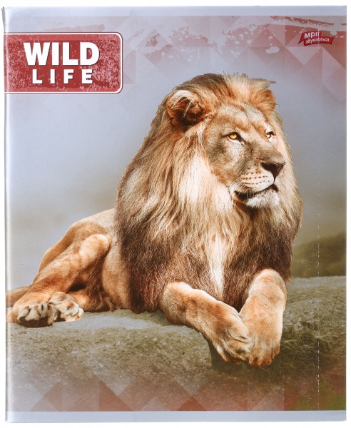 Зошит шкільний срібло 96 аркушів у клітинку в асортименті Мрії збуваються