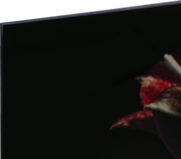 Картина Букет 125x50 см Styler GL-12949 