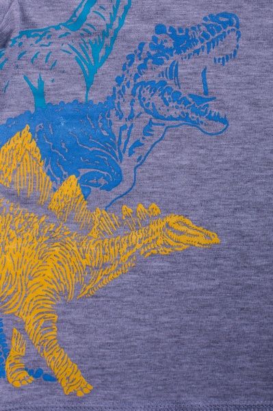 Футболка для хлопчиків Luna Kids з принтом T-Rex р.110 сірий меланж 