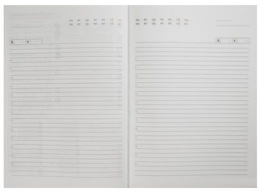 Щоденник ETHNO A5 недатований зелений Buromax 