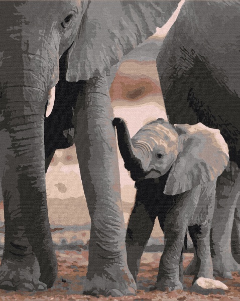 Картина за номерами Майбутній велетень 11614-AC 40х50 см ArtCraft 